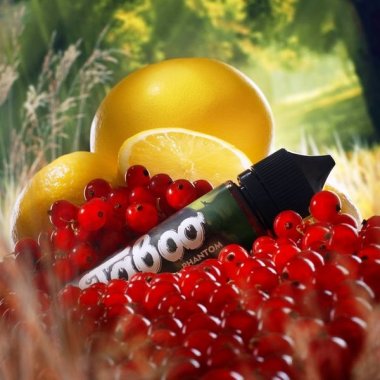 TABOO-Phantom